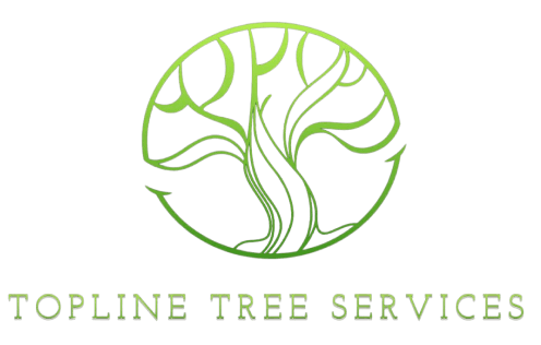 footer_logo